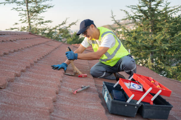 Best Commercial Roof Installation  in Summerset, SD